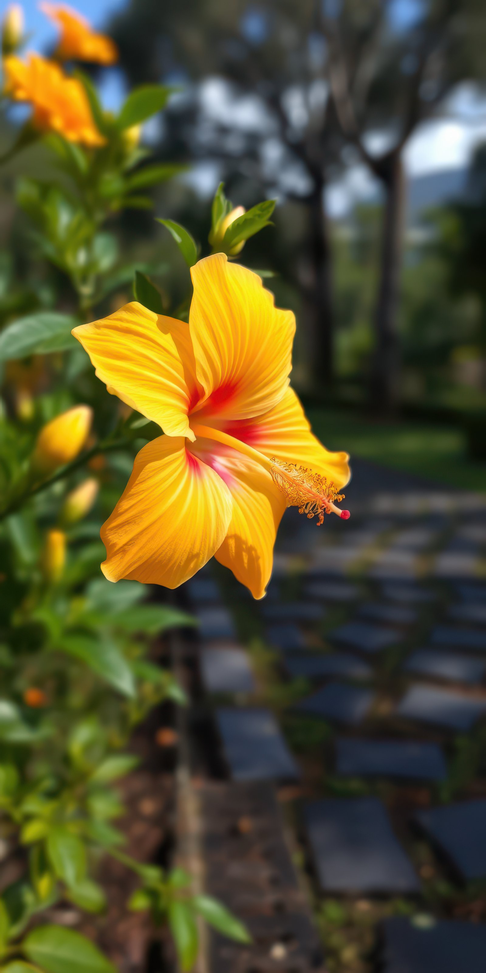 Bright yellow hibiscus flower blooming in a lush garden during a sunny afternoon